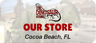 View the Dinosaur Store - button