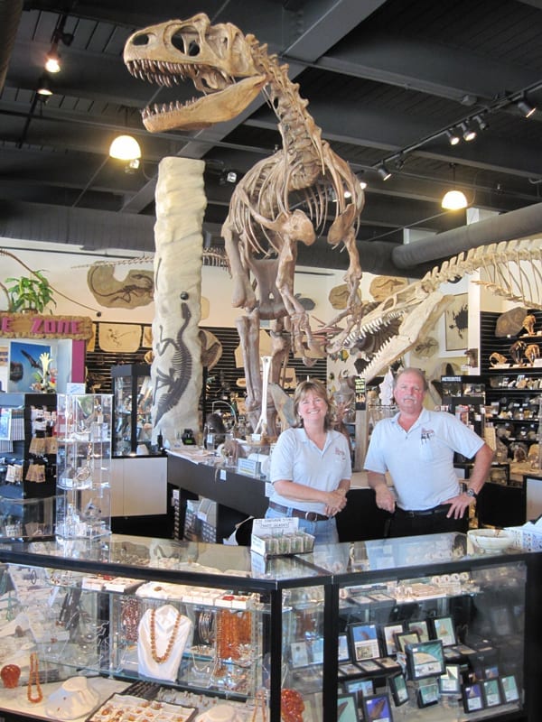 the dinosaur shop