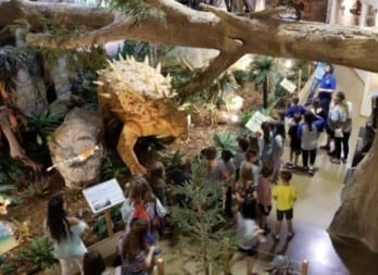 Museum-FieldTrip.jpeg