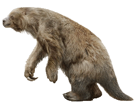 Giant Ground Sloth