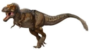 Tyrannosaurus rex slightly feathered