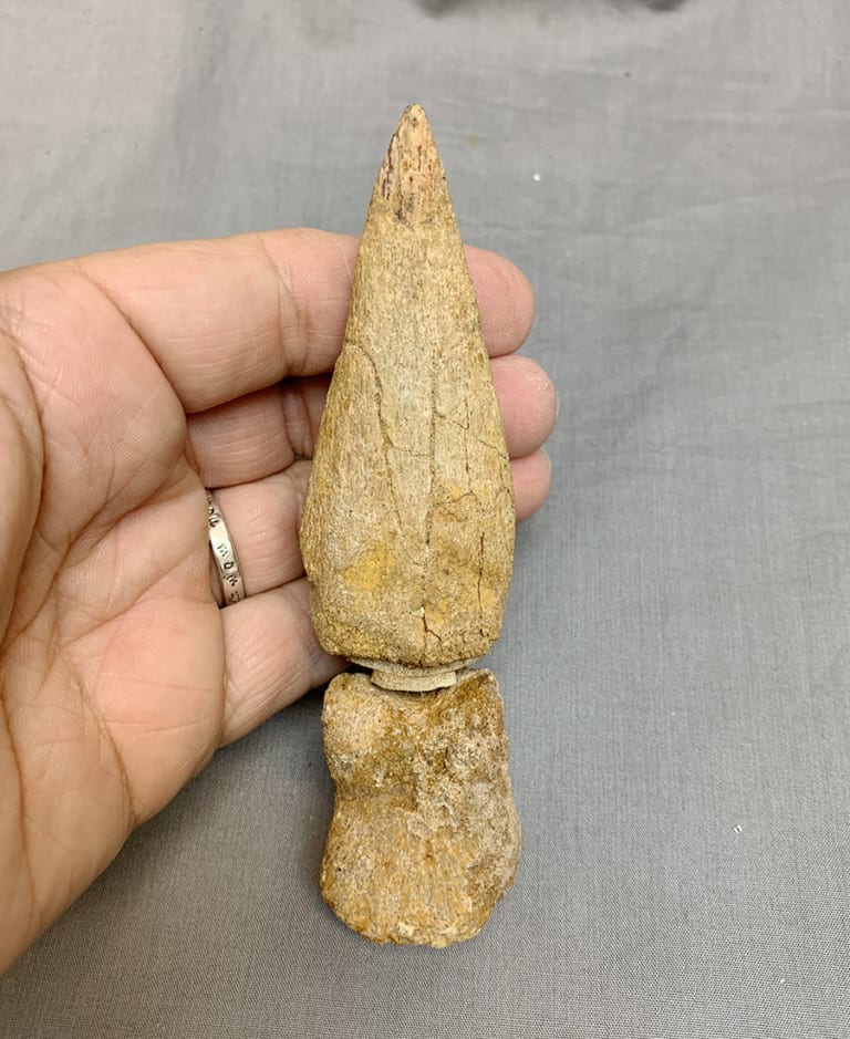 spinosaurus feet