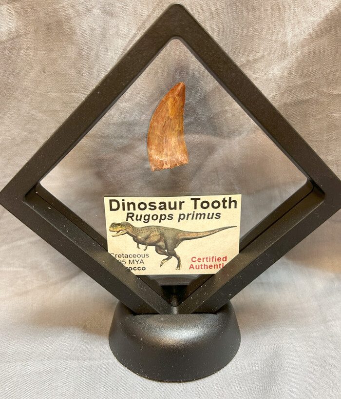RUGOPS TOOTH 102