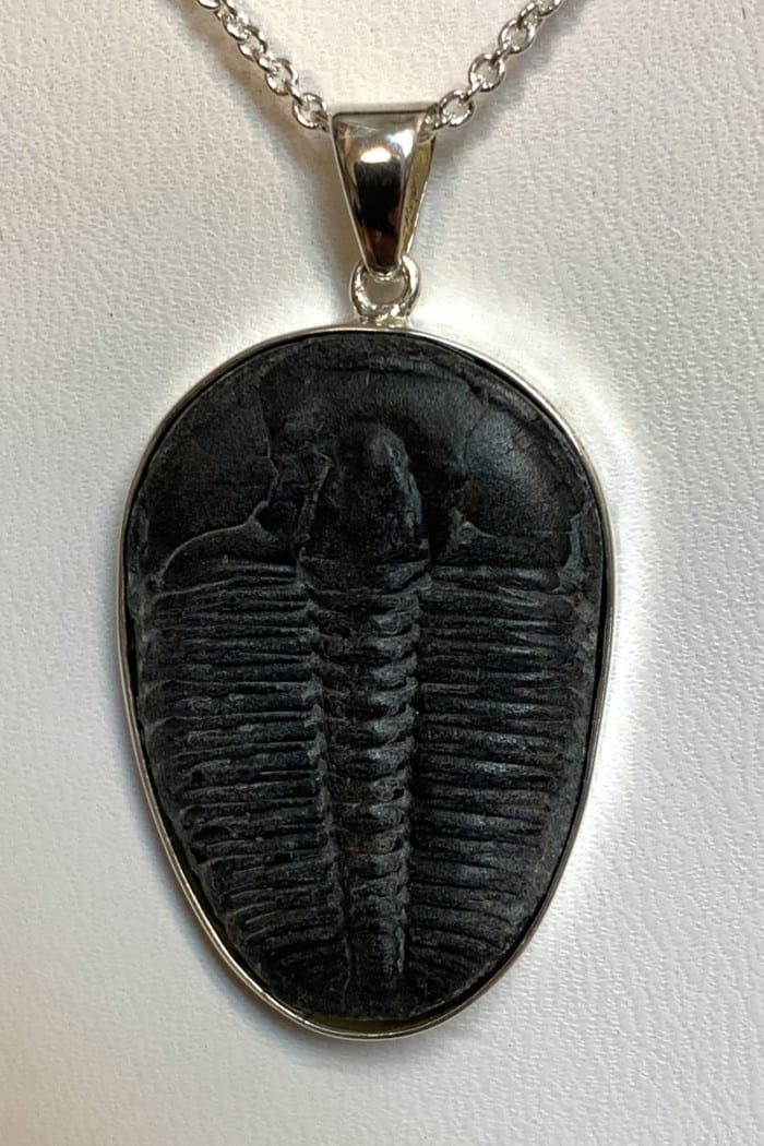 Trilobite Silver Pendant - Image 2