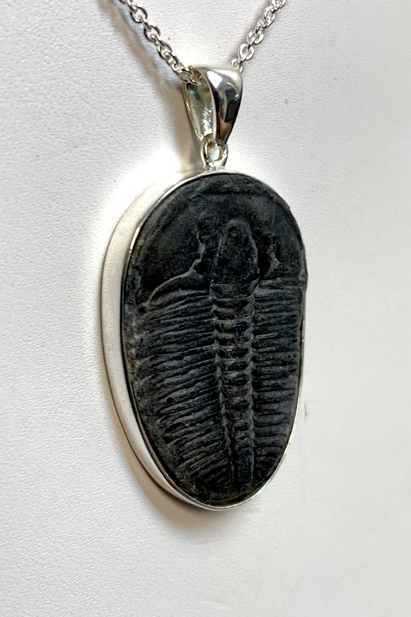 Fossil, Jewelry