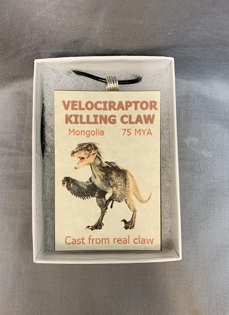 Velociraptor Claw Necklace